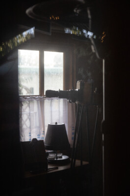 JULIA RUPPERT ←