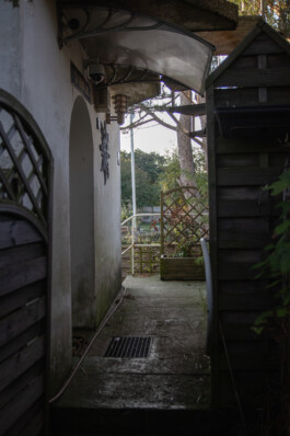 JULIA RUPPERT ←
