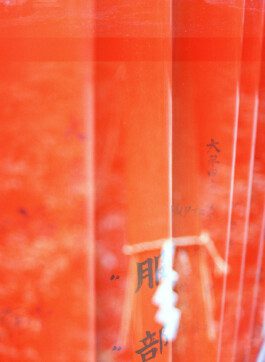 JULIA RUPPERT ←