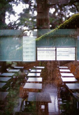 JULIA RUPPERT ←