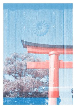 JULIA RUPPERT ←