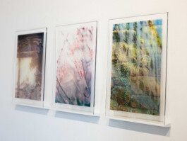 JULIA RUPPERT ←
